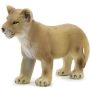 Lion Cub Standing