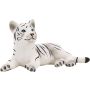 White Tiger Cub Laying