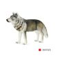 Timber Wolf Standing