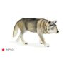 Timber Wolf Hunting