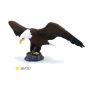 American Bald Eagle