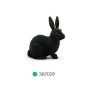 Black Rabbit
