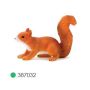 Red Squirrel Running