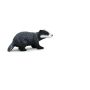 Badger