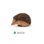 Hedgehog
