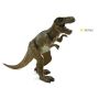 Tyrannosaurus Rex