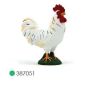 Cockerel