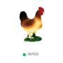 Hen Standing