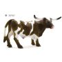 Texas Longhorn Bull