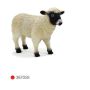 Mouton à Tête Noire Brebis