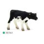 Veau Holstein Debout