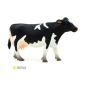 Vache Holstein