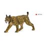 Iberian Lynx