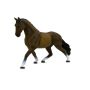 Hanoverian Brown