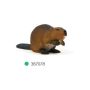 Beaver