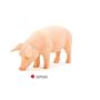 Cochon Verrat