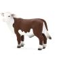 Veau Hereford Regardant au Ciel