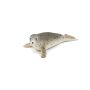 Grey Seal