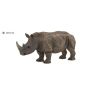 White Rhinoceros