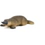 Duck Billed Platypus