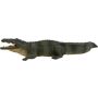 Nile Crocodile
