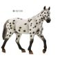 Etalon Appaloosa