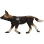 African Painted Dog
