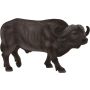 Cape Buffalo