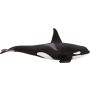 Orca