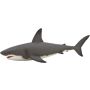 Great White Shark