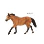 Quarter Horse Buckskin