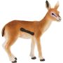 Thomson Gazelle Fawn