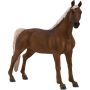 Etalon Morgan Palomino
