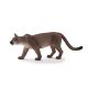 Mountain Lion