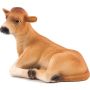 Jersey Calf Laying Down