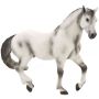 Andalusian Stallion Grey