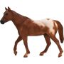 Etalon Appaloosa Marron avec Accent