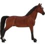 Morgan Stallion Bay