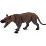 Hyaenodon Gigas