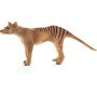 Thylacine (Tasmanian Tiger)