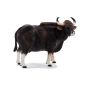 Gaur Bull