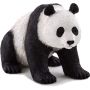Giant Panda