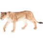 Lioness