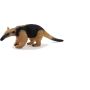 Tamandua