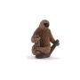 Two Toed Sloth