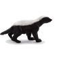 Honey Badger Male