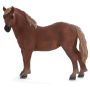 Suffolk Punch Mare