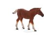 Suffolk Punch Foal