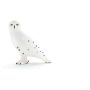 Snowy Owl