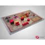 E-Raptor organizer compatible with Terra Mystica